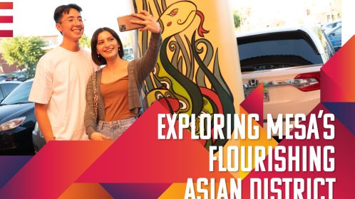 PLMKR Web Features Issue6 Mesa