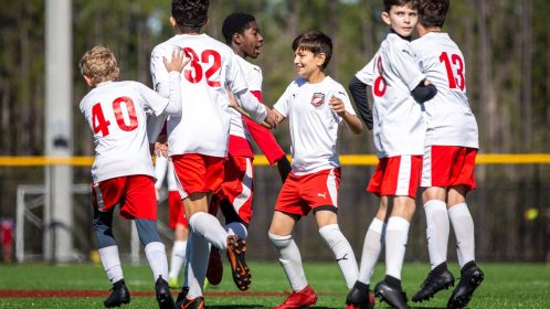 adrian pcb sports complex goal 10